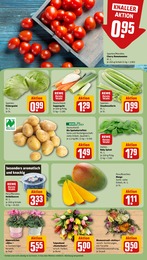 Blumen Angebot im aktuellen REWE Prospekt auf Seite 7