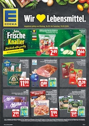 Pizza im EDEKA Prospekt in Ansbach Aktueller EDEKA Prospekt mit Pizza, "Wir lieben Lebensmittel!", Seite 1