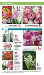 Offre Arum dans le catalogue U Express du moment à la page 4