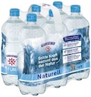 Mineralwasser im Angebot bei METRO in Herne Mineralwasser Angebote von Gerolsteiner bei METRO Herne für 4,21 €