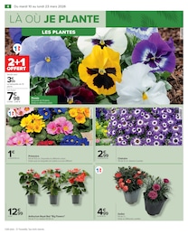 Offre Pensées dans le catalogue Carrefour du moment à la page 4