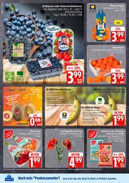 Pflanzen Angebot im aktuellen EDEKA Prospekt auf Seite 2