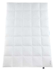 Aktuelle Kopfkissen Angebote bei Möbel Martin in Mainz Aktuelles Kopfkissen Angebot bei Möbel Martin in Mainz ab 15,00 €