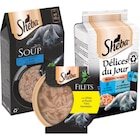 SUR TOUT à Carrefour Market dans Coulogne