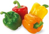 Paprika im Angebot bei REWE in Fürth Paprika Angebote bei REWE Fürth für 3,79 €