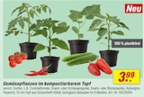 toom Baumarkt Pfungstadt Prospekt mit  im Angebot für 3,99 €