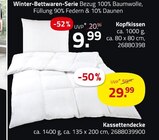 Aktuelle Kopfkissen Angebote bei ROLLER in Stuttgart Aktuelles Kopfkissen Angebot bei ROLLER in Stuttgart ab 9,99 €