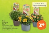 Bee friendly Mix im Angebot bei tegut in Ludwigshafen Bee friendly Mix Angebote bei tegut Ludwigshafen für 3,99 €