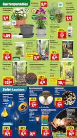Ähnliche Gartenzwerg Angebote im Prospekt "Top Angebote" von Thomas Philipps in Remscheid Ähnliche Angebote wie Gartenzwerg im Prospekt "Top Angebote" auf Seite 5 von Thomas Philipps in Remscheid