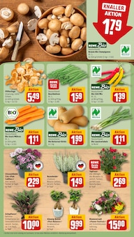 Pflanzen im REWE Prospekt "Dein Markt" mit 25 Seiten (Freiburg (Breisgau))