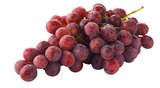 Aktuelles Dunkle Trauben kernlos Angebot bei REWE in Mannheim ab 1,99 €