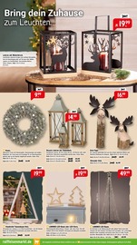 Weihnachtsbaum im Raiffeisenmarkt Prospekt in Drensteinfurt Aktueller Raiffeisenmarkt Prospekt mit Weihnachtsbaum, "Die kalte Jahreszeit steht vor der Tür", Seite 2