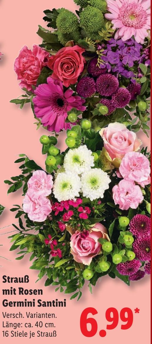 Strauß mit Rosen Germini Santini