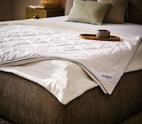 Sommerbett „Sedona“ Angebote von Sleeptex bei XXXLutz Möbelhäuser Neubrandenburg für 24,99 €