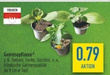Aktuelles Gemüsepflanze Angebot bei diska in Leipzig ab 0,79 €