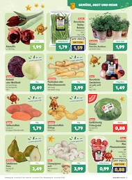 Kartoffeln Angebot & Preis im aktuellen aktiv & irma Prospekt Kartoffeln Angebot im aktuellen aktiv & irma Prospekt auf Seite 3