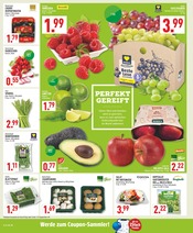 Kräuter im Marktkauf Prospekt in Bielefeld Aktueller Marktkauf Prospekt mit Kräuter, "Aktuelle Angebote", Seite 2