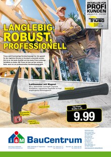 i&M BauCentrum Weißenfels Prospekt der aktuellen Woche, gültig von 01.02.2026 bis 28.02.2026 Aktueller i&M BauCentrum Weißenfels Prospekt "Qualität von Triuso." mit 2 Seiten