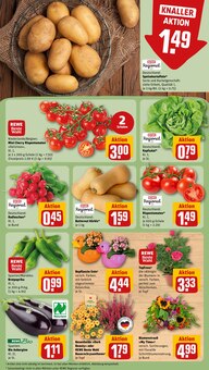 Tomaten im aktuellen REWE Prospekt (Heidelberg) Tomaten im REWE Prospekt "Dein Markt" mit 30 Seiten (Heidelberg)