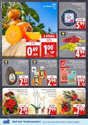 Ähnliche Rasendünger Angebote im Prospekt "Top Angebote" von EDEKA in Neumünster Ähnliche Angebote wie Rasendünger im Prospekt "Top Angebote" auf Seite 4 von EDEKA in Neumünster