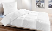 Feder Bettenset bei POCO in Willich Feder Bettenset im Angebot bei POCO Willich für 29,99 €