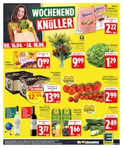Aktueller EDEKA Prospekt mit Blumen, "Wir lieben Lebensmittel.", Seite 25