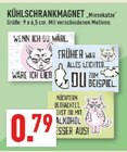 Aktuelles Kühlschrankmagnet Miesekatze Angebot bei Marktkauf in Gütersloh ab 0,79 €