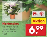 Aktuelle Hortensie Angebote bei Netto Marken-Discount in Dortmund Aktuelles Hortensien Angebot bei Netto Marken-Discount in Dortmund ab 6,99 €