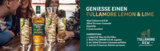 Irish Whiskey Angebote von Tullamore Dew bei EDEKA Seevetal für 13,99 €