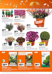 Aktueller OBI Prospekt mit Gartenerde, "EIN JUBILÄUM VOLLER OBIRASCHUNGEN", Seite 7