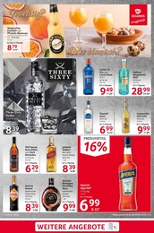 Wodka Angebot im aktuellen Selgros Prospekt auf Seite 21