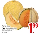Galiamelone im EDEKA Prospekt Galiamelone von im aktuellen EDEKA Prospekt für 1,99 €