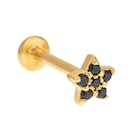 Piercing en or jaune et oxydes de zirconium noirs fleur en promo à 52,00 € chez E.Leclerc Piercing en or jaune et oxydes de zirconium noirs fleur dans le catalogue E.Leclerc