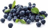 EDEKA Lingen - Bio Heidelbeeren Angebot im Prospekt Bio Heidelbeeren bei EDEKA im Lingen Prospekt für 3,99 €