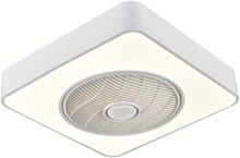XXXLutz Möbelhäuser Jülich - LED-Deckenleuchte LED-Deckenleuchte Angebot bei XXXLutz Möbelhäuser Jülich im Prospekt "Jubiläum - 75 Jahre"