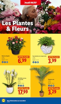 Catalogue Lidl, 09/07/2026 - 15/07/2026, Au coeur de nos régions !, 68 pages Prospectus Lidl en cours, "Au coeur de nos régions !", 68 pages