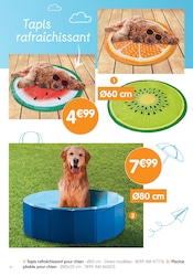 Piscine Angebote im Prospekt "On Prépare les VACANCES" von B&M Piscine Angebote im Prospekt "On Prépare les VACANCES" von B&M auf Seite 16