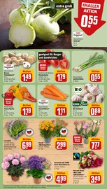 Aktueller REWE Prospekt mit Orchidee, "Dein Markt", Seite 11