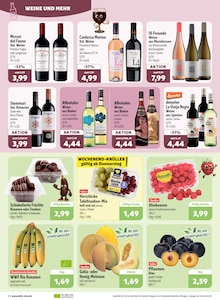 Bacardi im aktuellen aktiv & irma Prospekt (Oldenburg) Bacardi im aktiv & irma Prospekt "Top Angebote" mit 16 Seiten (Oldenburg)