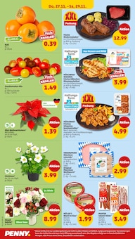 Tomaten im Penny Prospekt "Wer günstig will, muss Penny." mit 44 Seiten (Münster)