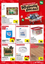 Aktueller Hagebaumarkt Prospekt mit Tierfutter, "So günstig geht das!", Seite 3