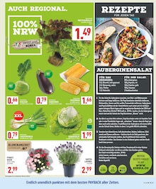 Kohlrabi im aktuellen Marktkauf Prospekt (Wuppertal) Kohlrabi im Marktkauf Prospekt "Aktuelle Angebote" mit 30 Seiten (Wuppertal)