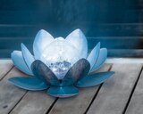 Solar-Dekolicht Angebote bei toom Baumarkt Ratingen für 12,99 €