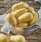 Intermarché Contact Waldighofen - Promo Pommes de terre de consommation à chair ferme Promo Pommes de terre de consommation à chair ferme à 2,35 € dans le catalogue Intermarché Contact à Waldighofen