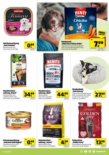Katzenfutter im Hagebaumarkt Prospekt "VERSCHÖNERE MIT UNS DEINEN GARTEN" mit 16 Seiten (Oberhausen)