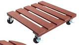 Pflanzenroller im Penny Prospekt Pflanzenroller Rund im aktuellen Penny Prospekt für 9,99 €