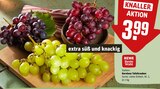 REWE Schwerte - Kernlose Tafeltrauben Angebot im Prospekt Kernlose Tafeltrauben bei REWE im Schwerte Prospekt für 3,99 €