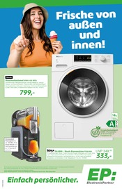 Aktueller EP: Elektromärkte Prospekt in Döbeln und Umgebung, "Frische von außen und innen!" mit 12 Seiten, 01.08.2025 - 16.08.2025