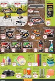 BBQ-Grill im GLOBUS Prospekt in Mannheim Aktueller GLOBUS Prospekt mit BBQ-Grill, "Aktuelle Angebote", Seite 15