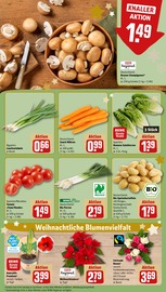 Garten im REWE Prospekt in Mannheim Aktueller REWE Prospekt mit Garten, "Dein Markt", Seite 9